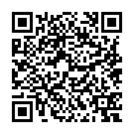 QR code for ZLZ-9311