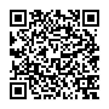 QR code for ZPP2383