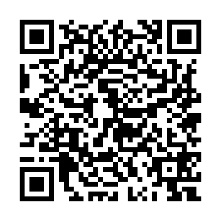 QR code for plate ZPU-9685
