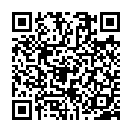 QR code for ZQS-6595