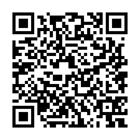 QR code for ZTN1747