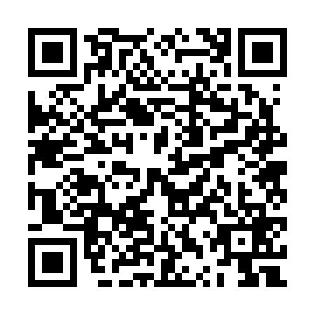 QR code for ZTR-2691