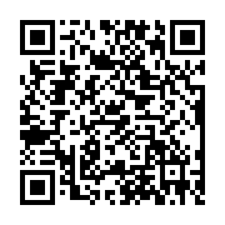 QR code for ZTS-0208