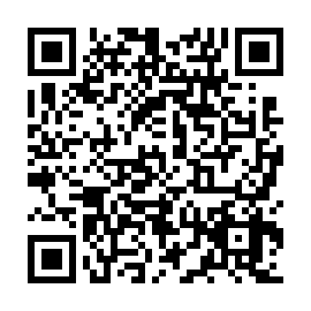 QR code for ZTX-6384