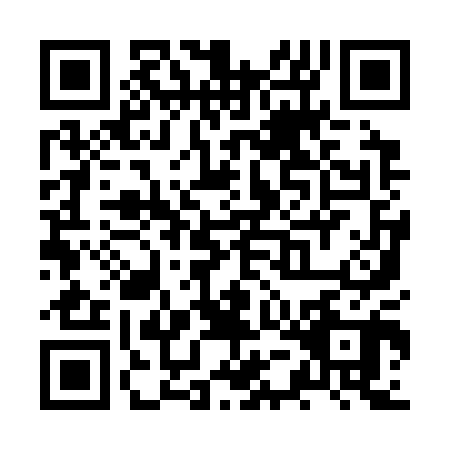 QR code for ZUI3004