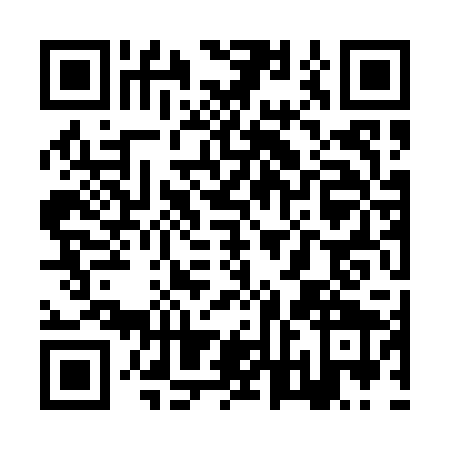 QR code for ZVK0294