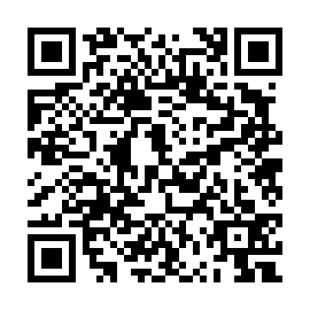 QR code for ZVR-4333
