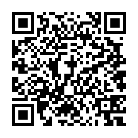 QR code for ZVV0383