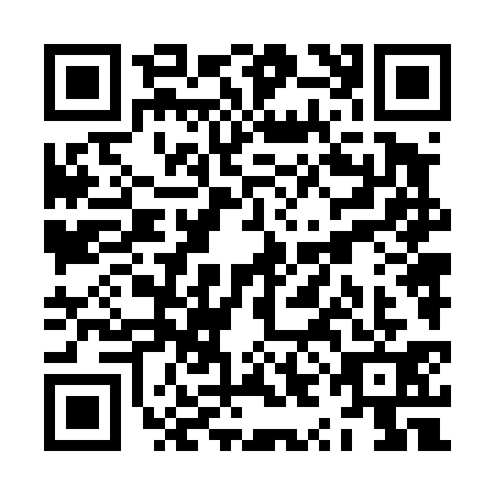 QR code for ZYN-4317