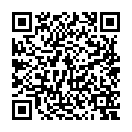 QR code for plate ZYO-9666
