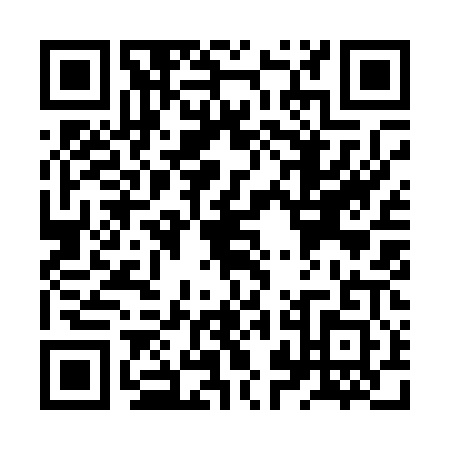 QR code for ZZI0011