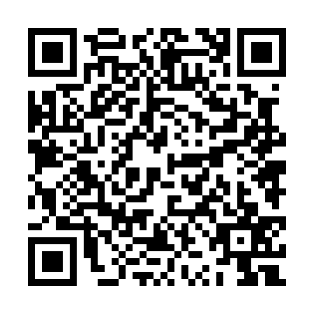 QR code for ZZN-0371