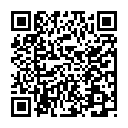 QR code for plate ZZV-8919