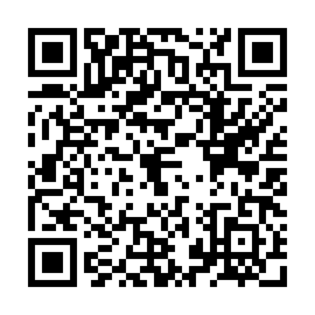 QR code for ZZY-3811