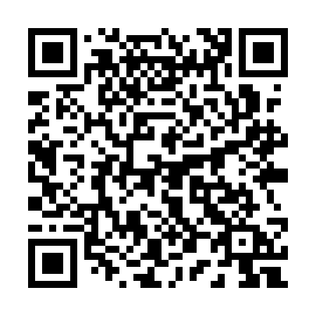 QR code for plate 009-QCA