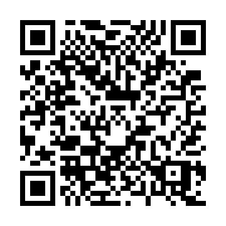 QR code for plate 009-WAP