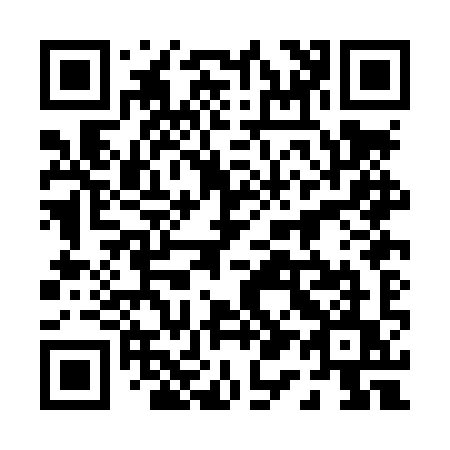 QR code for 010-LYU