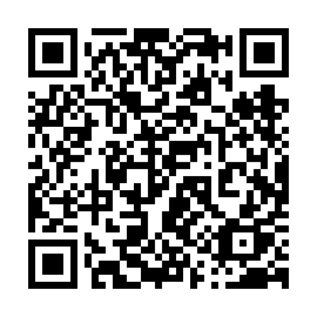 QR code for 010-VAP