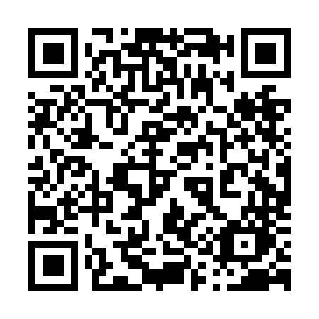 QR code for plate 010-NNO