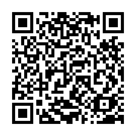 QR code for plate 017-LCH