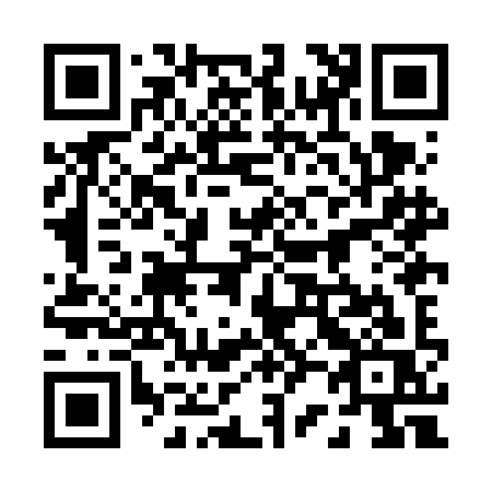 QR code for 028-FIS