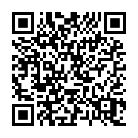 QR code for 029-IAT