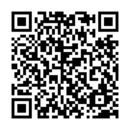 QR code for plate 029-NKV