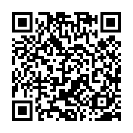 QR code for 038420