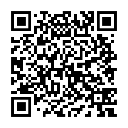 QR code for 038738