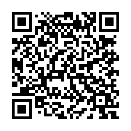 QR code for plate 038-LMV