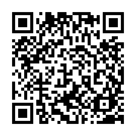 QR code for plate 038-OIC