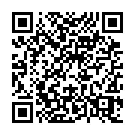 QR code for plate 040-SIR