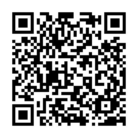 QR code for plate 041-OEL