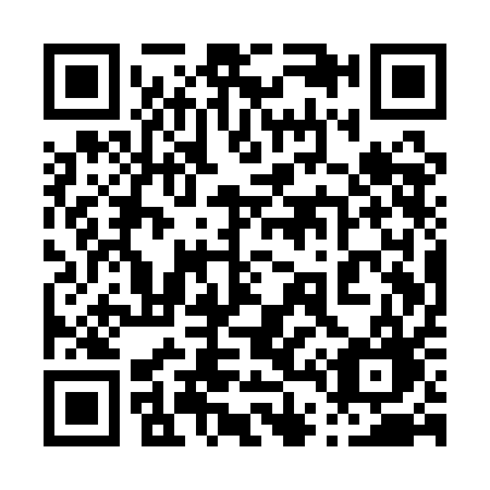 QR code for plate 041-QAG