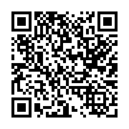 QR code for 046393
