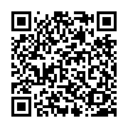 QR code for plate 046-NFX