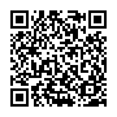 QR code for plate 049-LYR