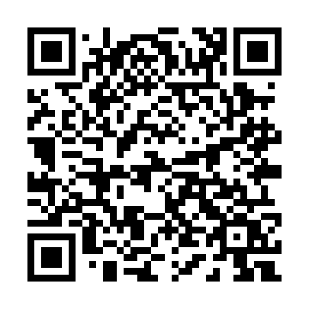 QR code for plate 049-POV