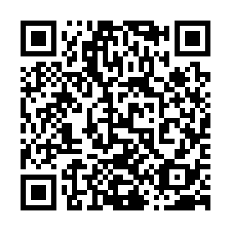 QR code for 063338