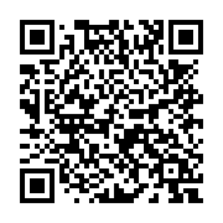 QR code for plate 081-NPT