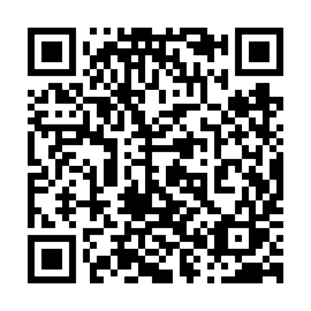 QR code for plate 081-VYS