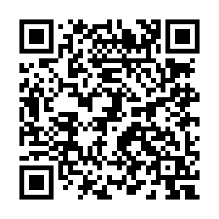 QR code for plate 091-LIR