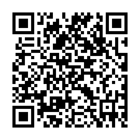 QR code for 0D6317