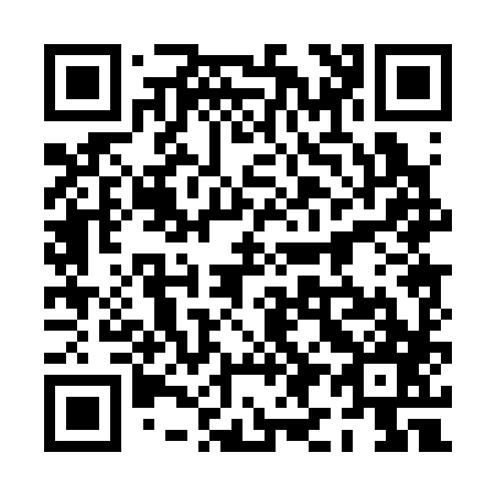 QR code for 0I0387
