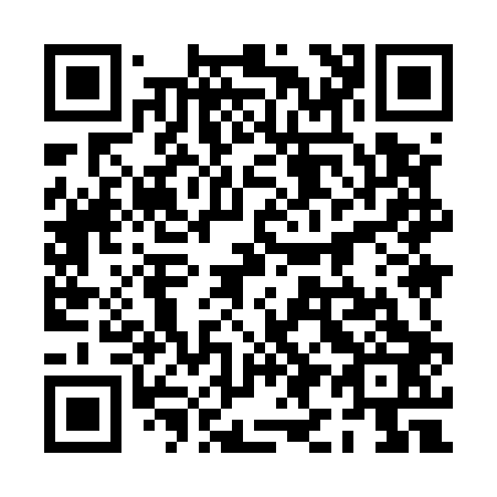 QR code for 0I9503