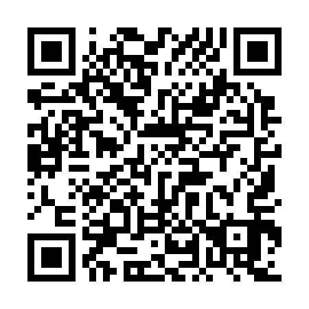 QR code for 0L9313