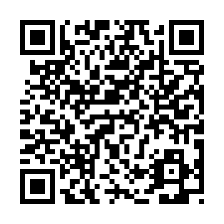 QR code for 0N0438