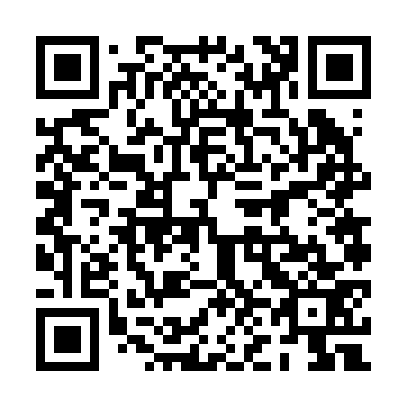 QR code for 0N6273