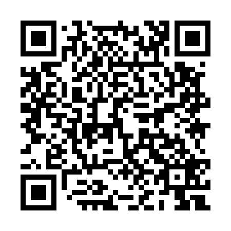 QR code for 0N9529
