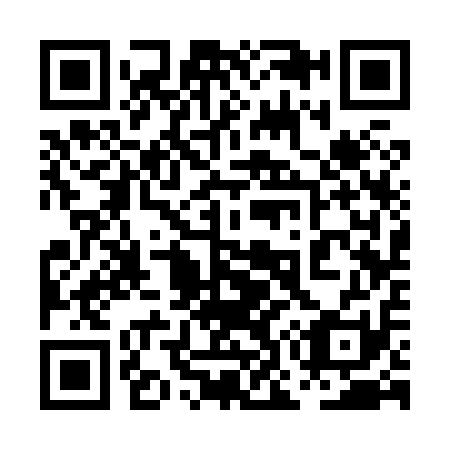 QR code for 0O3811